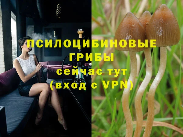 прущая мука Володарск