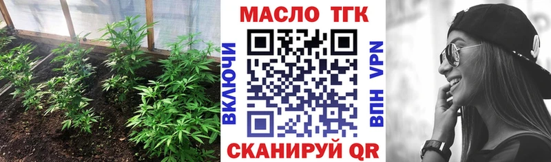 Купить закладки  Нижние Серги  ТГК гашишное масло 