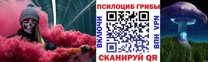 Галлюциногенные грибы Psilocybine cubensis  Купить  Нижние Серги 